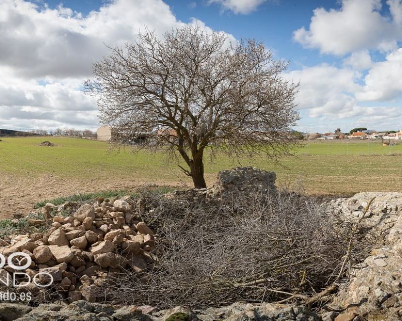 Mausoleo romano «El Vizcaino»  (Layos)