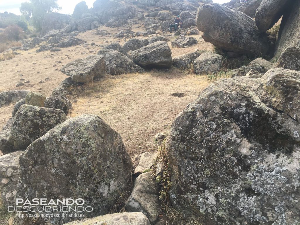 CASTILLEJO FORMACION