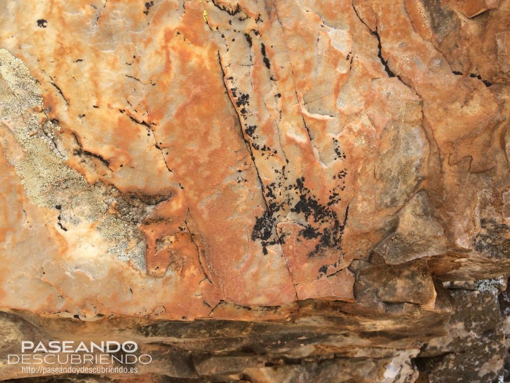 RUPESTRE PINTURA