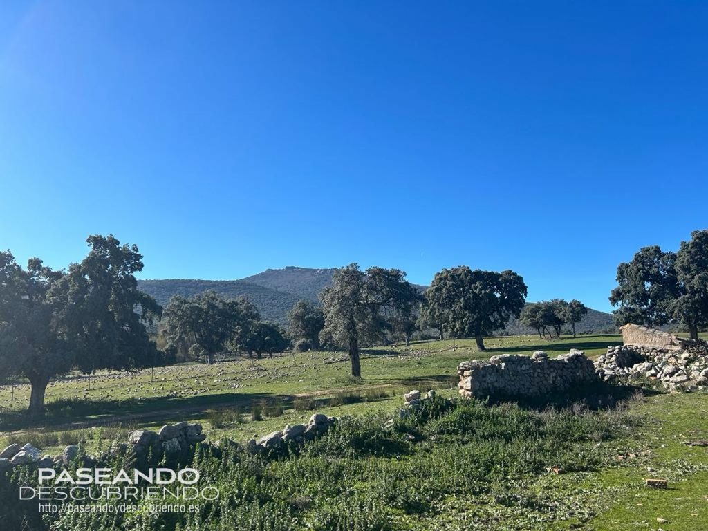 WhatsApp Image 2024 02 04 at 20.14.44 8